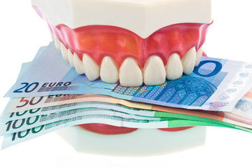 Zahnmodell mit Euroscheinen