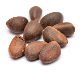 cedar nuts