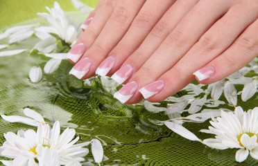 Woman hands with french manicure and flowers in green bowl with