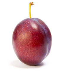 Obraz premium Ripe plum..