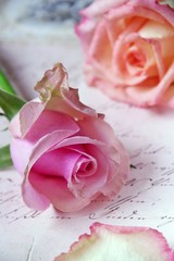 Vintage rose