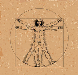 Vitruvian man with crosshatching and sepia tones - 46762459