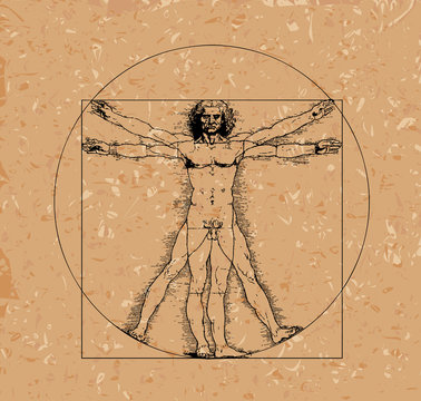 Vitruvian man with crosshatching and sepia tones