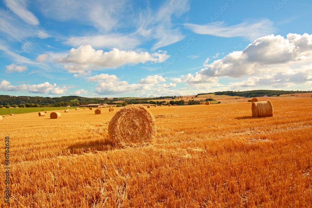 Poster scenic landscape with haybales