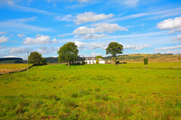 Beautiful summer landscape