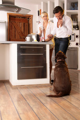 Mann und Frau in der Küche erziehen ihren Hund