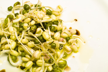 Mung bean seed (Vigna radiata) salad