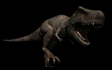 Obraz na płótnie Canvas Attaque de T-rex
