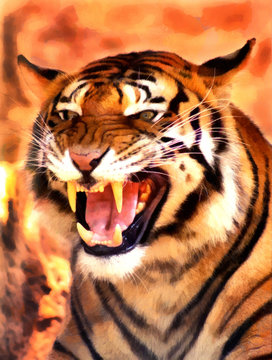 Angry Face Tiger Portrait Painting