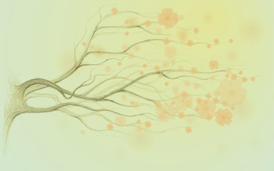 Tree is in bloom  / Vintage floral background
