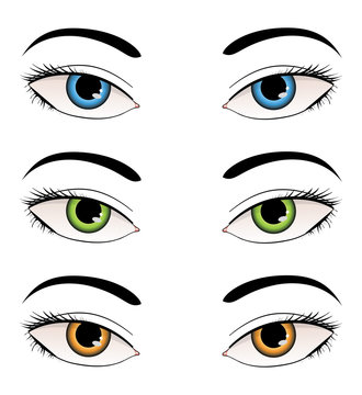 Female eyes illustration