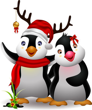 cute penguin christmas cartoon couple with love