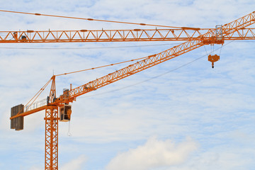 crane