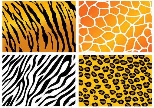 Animal Skin pattern background