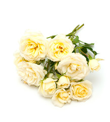 white roses