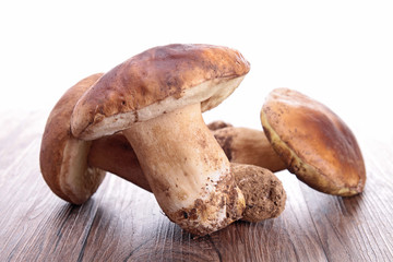 edible mushroom