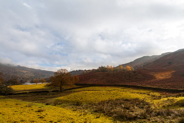 Amazing landscape under the Fells in Lake District, Cumbria