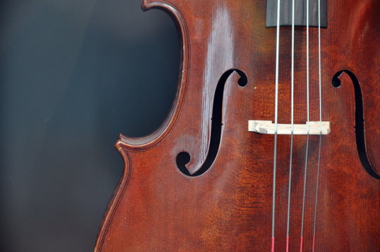 Saiteninstrumente