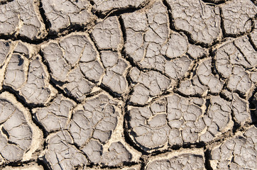 dry cracked earth as textured background