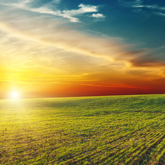 Fototapeta na wymiar Piękny zachód słońca nad zielonym polu
