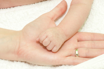 The baby's fist