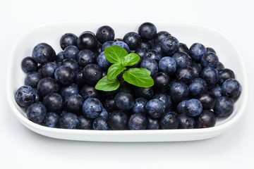 Blackthorn Fruit or Sloe berries