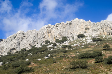 Fototapeta na wymiar Naturalny park Sierra de las Nieves, Andaluzja, Hiszpania