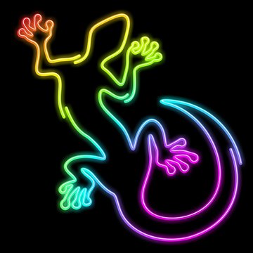 Geko Geco Lizard Psychedelic Neon Light-Geco Psichedelico