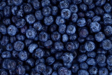 Blueberries as background