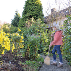 Frau fegt den Weg im Garten