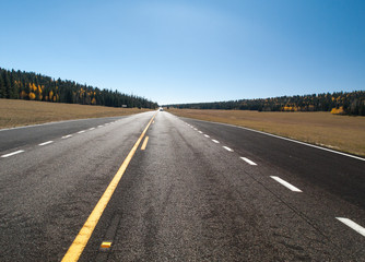 Route, plateau et forêt de Kaibab