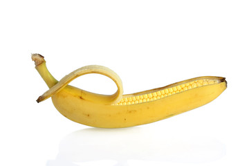 GMO corn - genetically modified banana and maize