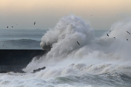 Big stormy waves