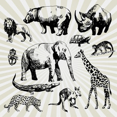 Set of Exotic Animals Hand Drawn