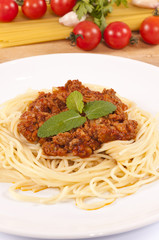 Bolognese