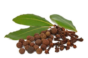 Gewürze (Lorbeerblätter,Piment & Nelken)