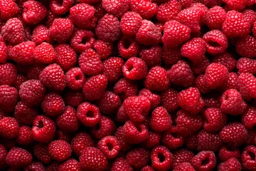 Raamstickers Raspberry fruit background © SJ Travel Footage