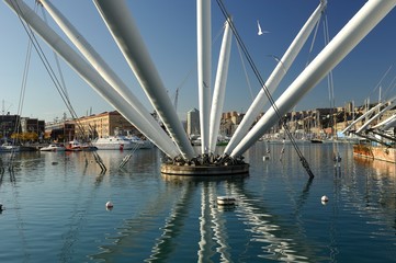 Bigo di Genova