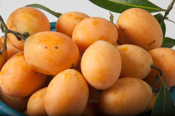 Marian plum or maprang