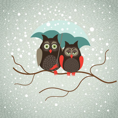Two cute owls in snowfall