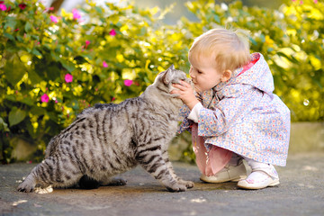 portrait of a little girl with a cat