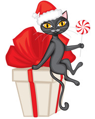 Cat in the cap with a gift