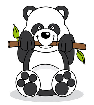 Oso panda comiendo bambú