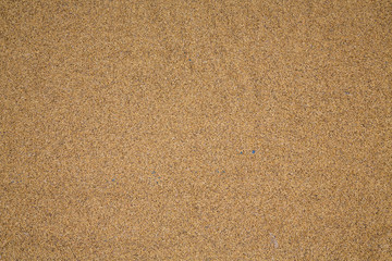 Rye top view