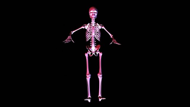 Posing Skeleton