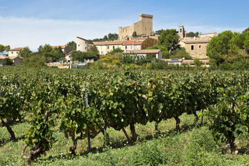 Fototapeta na wymiar Wioska Chateauneuf du Pape w winnicach