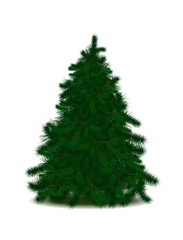 Christmas tree image