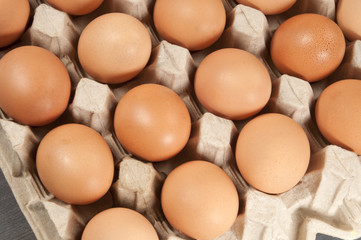 Eggs in cardboard support