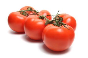 tomatoes