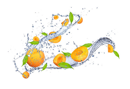 Fresh apricots in water splash, isolated on white background